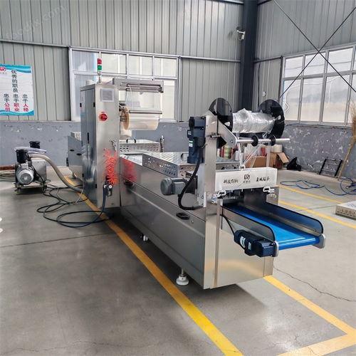 探索DZR520玉米漿包拉伸膜真空包裝機的卓越性能與聯(lián)達機械的專業(yè)服務